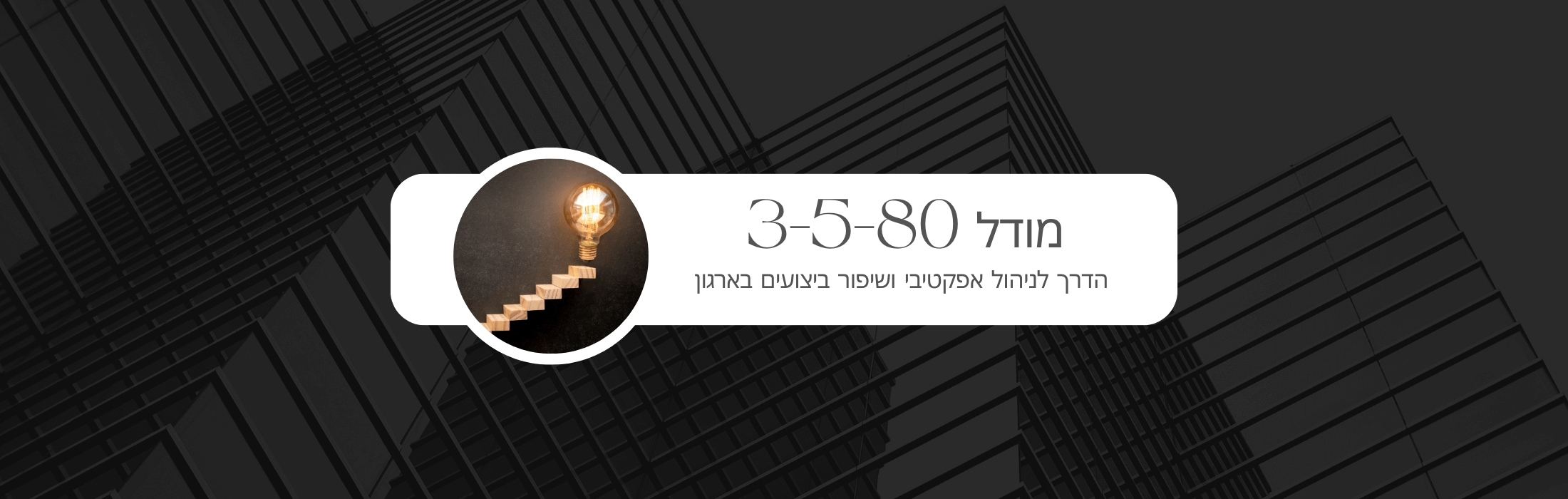 https://www.salespro.co.il/wp-content/uploads/2024/12/מודל-3580.png